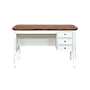 LISANDRO - Desk L120 x W60 - Brocante white and Washed antic