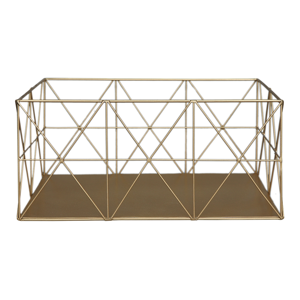 RIELLEY - Rectangular basket L40xW27 - Gold