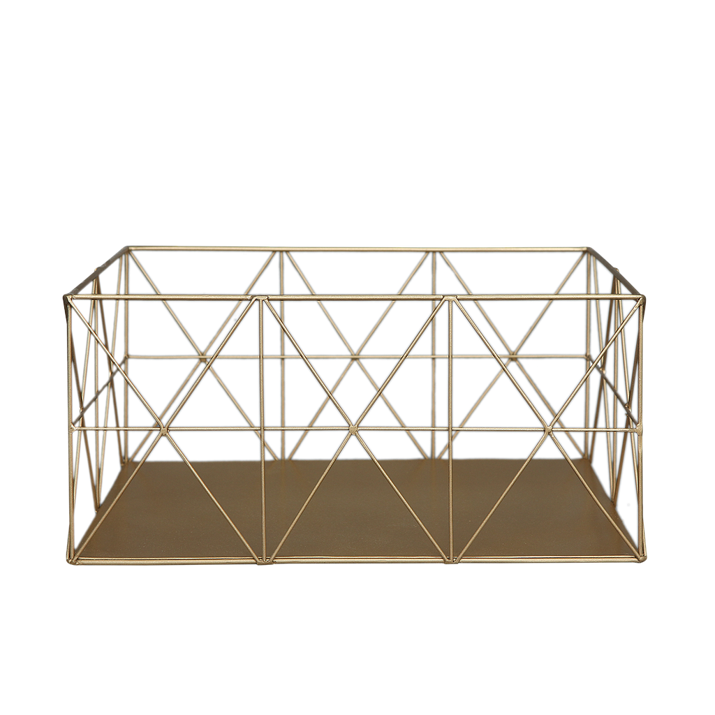 RIELLEY - Rectangular basket L35xW23 - Gold