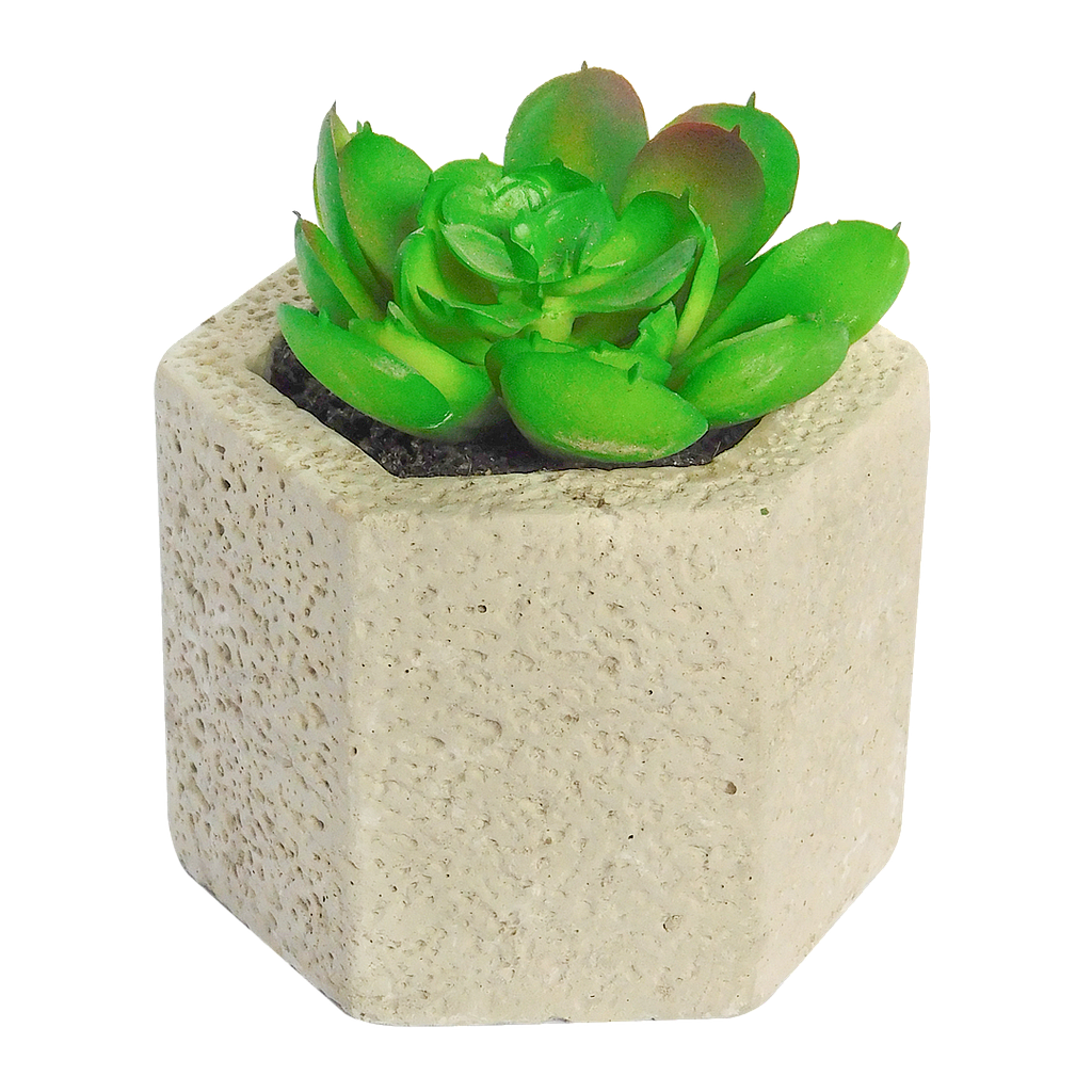ALBA - Artificial cactus in concrete pot - H8