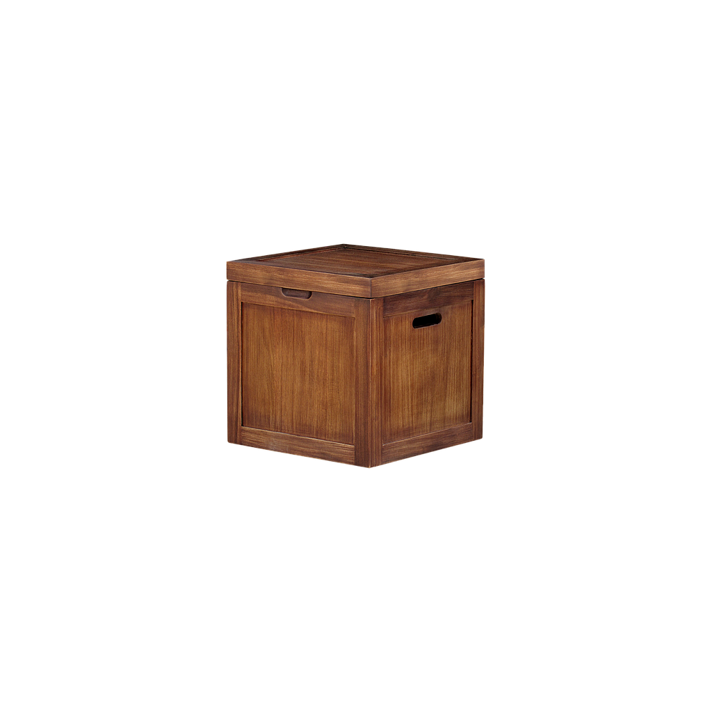 DION - Chest L55 x W55 - Washed antic