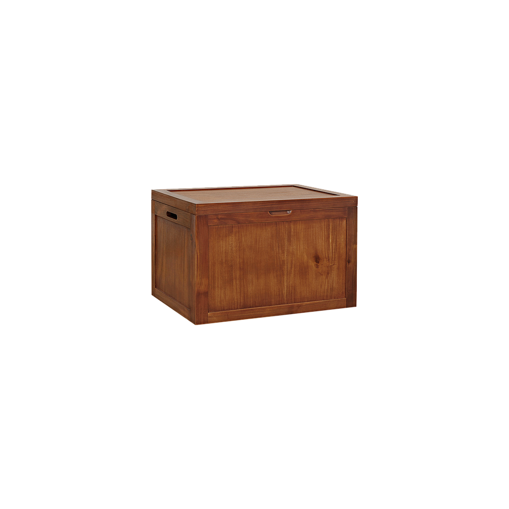 DION - Chest L70 x W50 - Washed antic