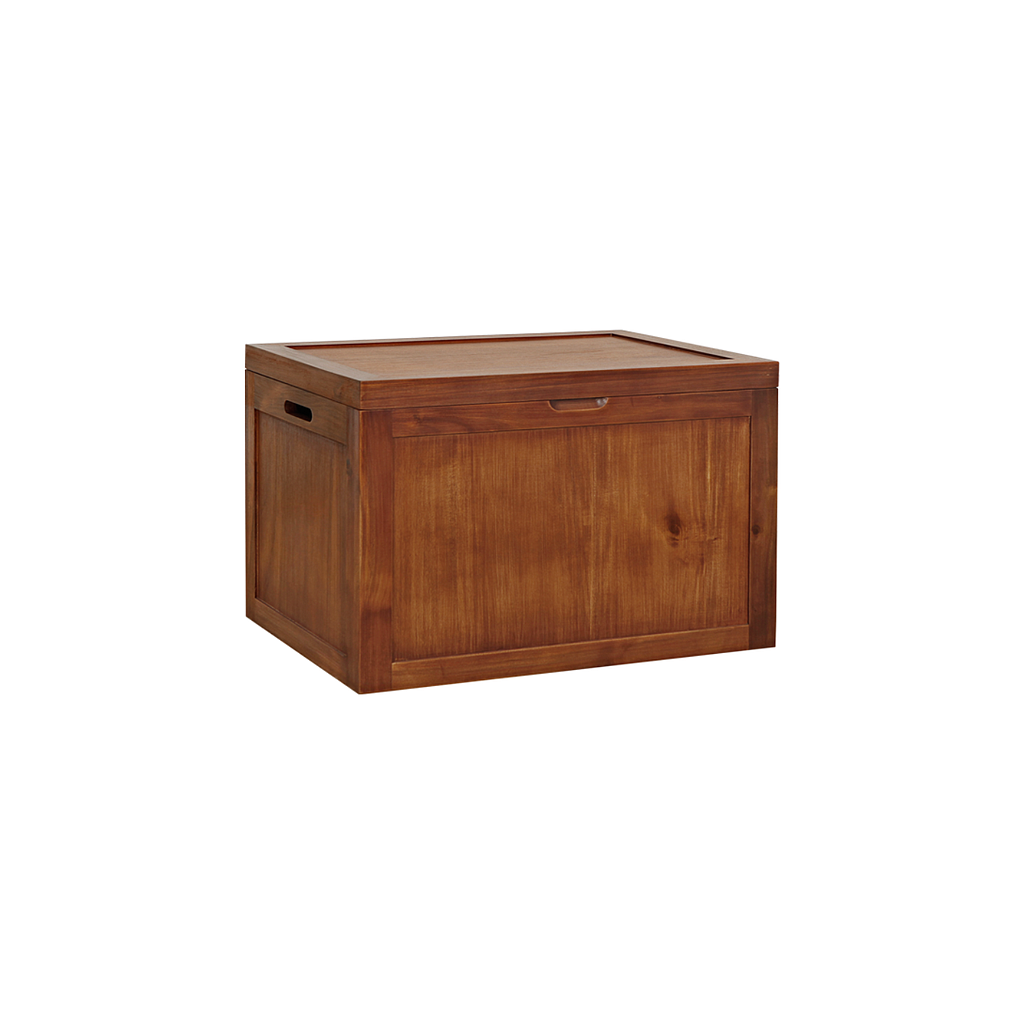 DION - Chest L70 x W50 - Washed antic