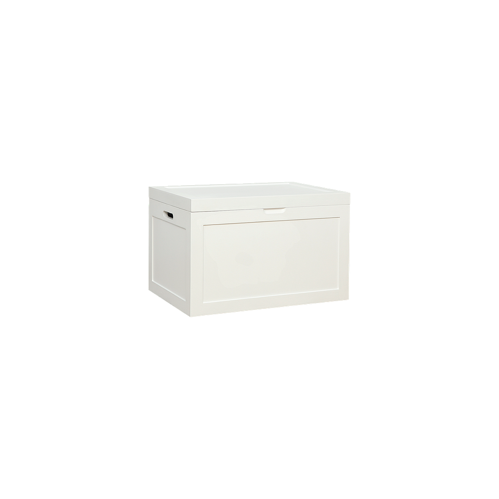 DION - Chest L70 x W50 - Brushed white