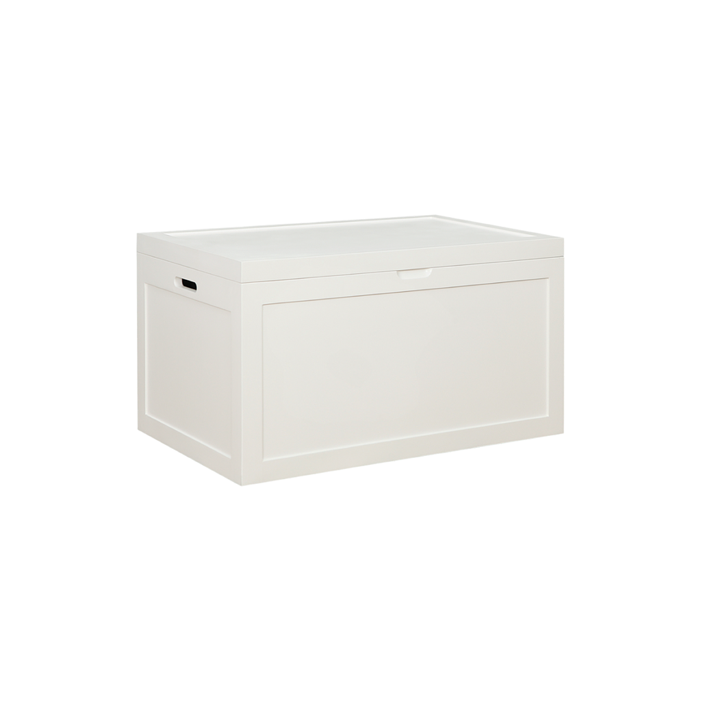DION - Chest L90 x W55 - Brushed white