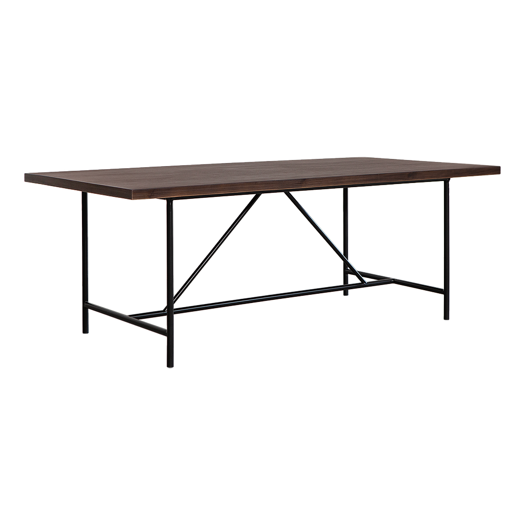 KAYDEN - Dining table L200 x W100 - Matt black and Mokka